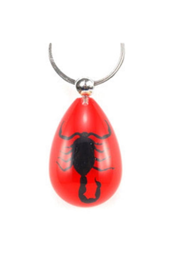Key Chain Black Scorpion Water Drop Shape Red