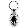 thumbnail image 1 of Key Chain  Tear Drop Shape  Clear  Black Scorpion, 1 of 1
