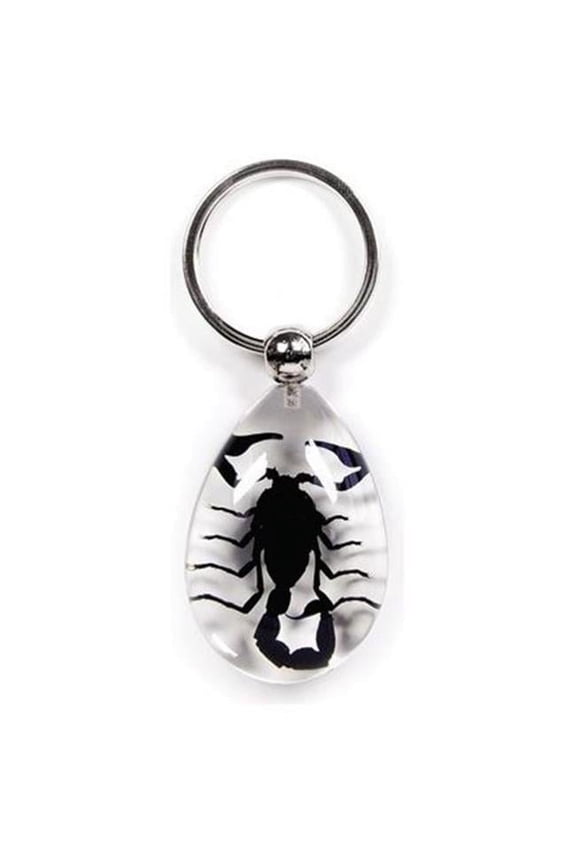 Key Chain Tear Drop Shape Clear Black Scorpion