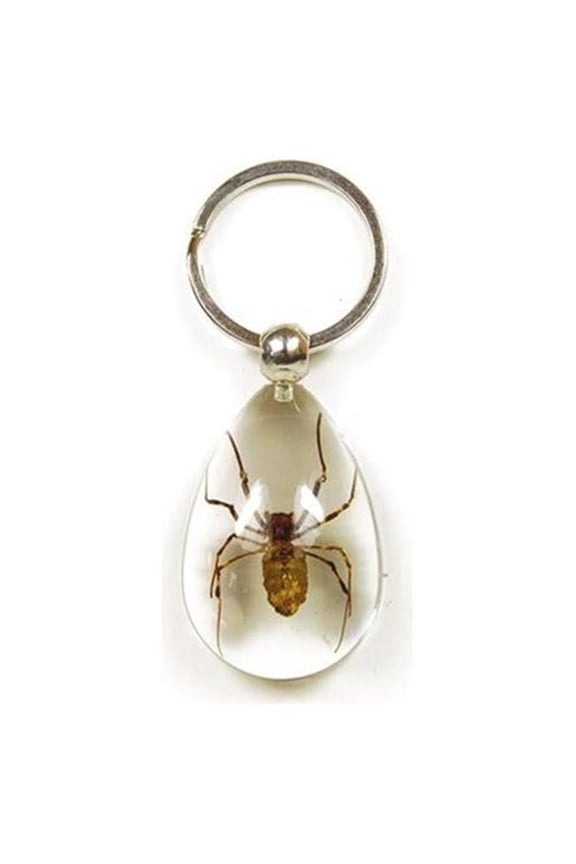Key Chain  Tear Drop Shape  Clear  Spider