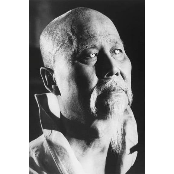 Key Luke Kung Fu As Master Po 24x36 Poster
