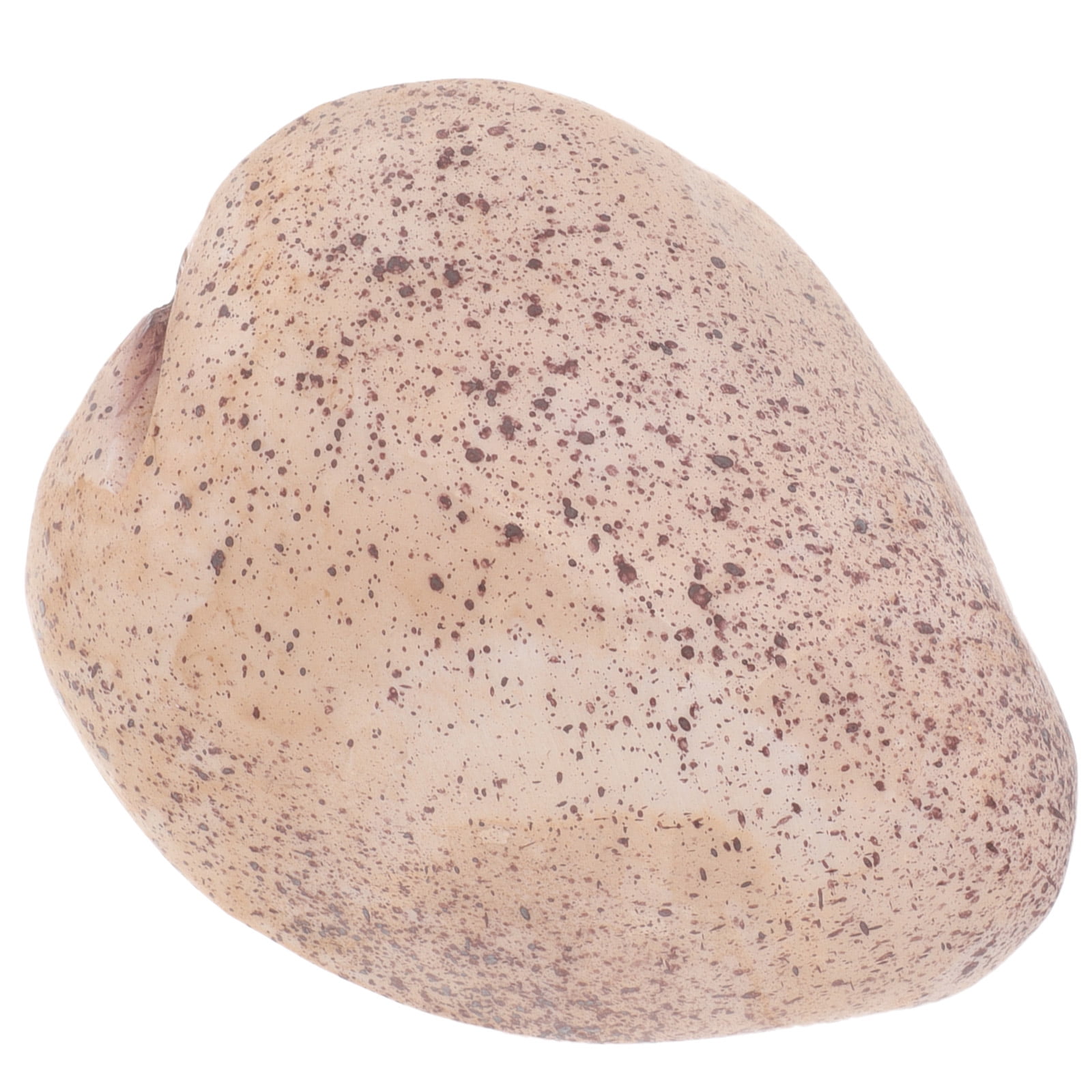 Key Rock Outdoor Key Hider Garden Key Hider Lost Keys Keychain Stone