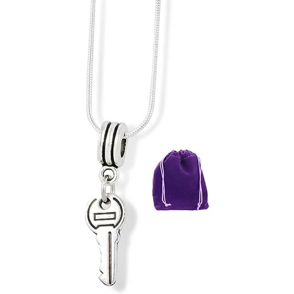 Key Small Charm Snake Chain Necklace