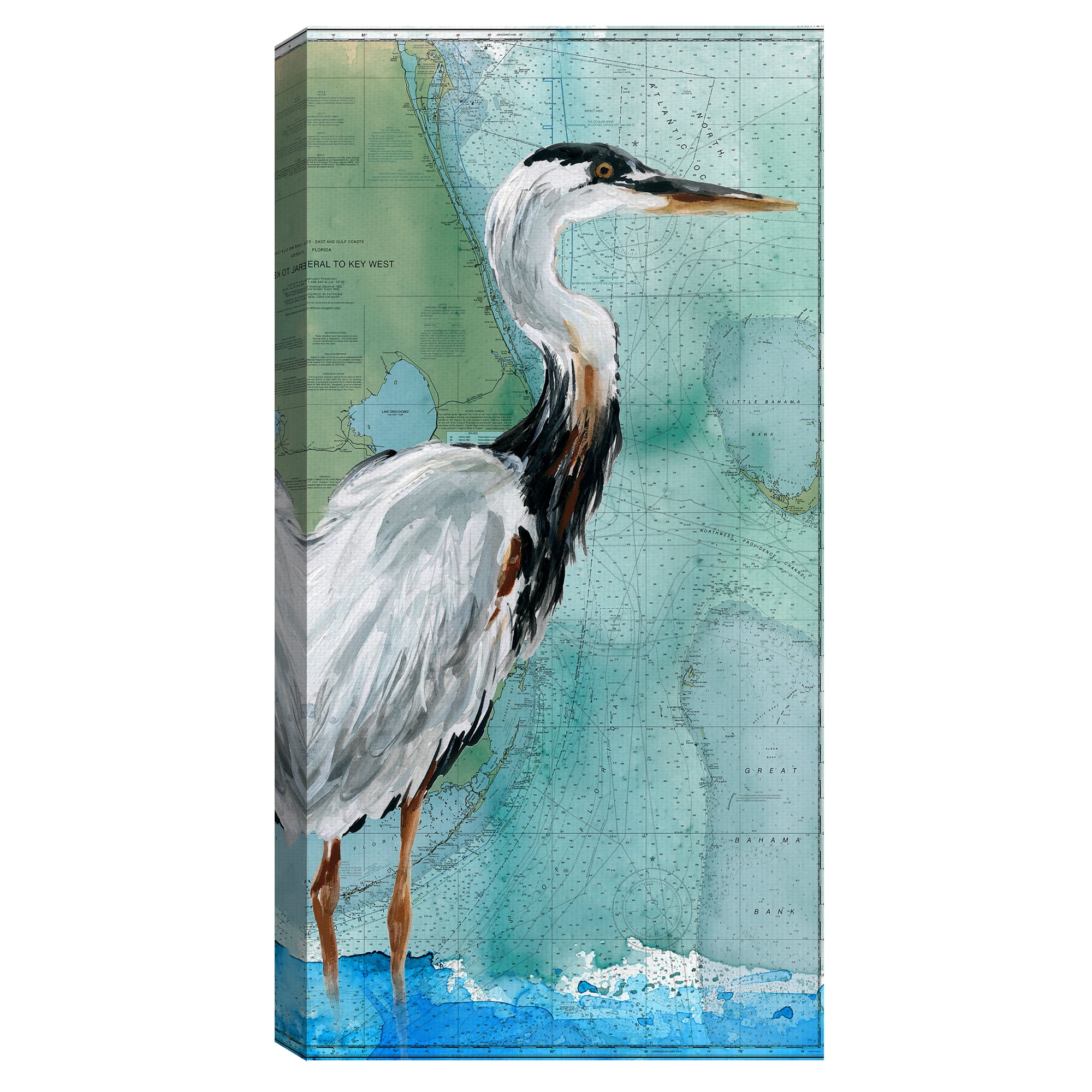 Key West Crane by Carol Robinson Canvas Art Print