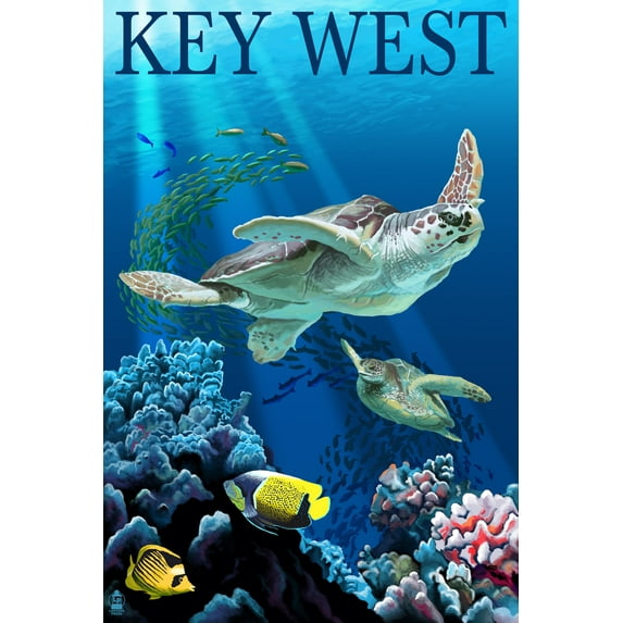 Key West, Florida, Sea Turtles (16x24 Giclee Gallery Art Print, Vivid Textured Wall Decor)