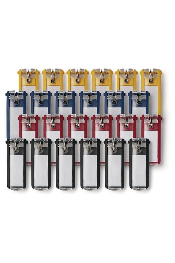 Key for Locking Key Cabinets, Plastic, 1.13" x 2.75" - Assorted Colors - Pack of 24