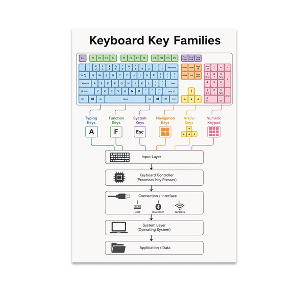 Keyboard Key Families Educational Reference - Computer Classroom Learner - 13x19 Poster Print