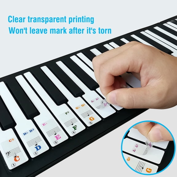 Keyboard Sticker Piano Keys Sticker Set 61 Key Keyboard Removable Beginners Transparent Great Gift Children PVC Multicolor