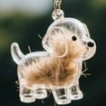 thumbnail image 1 of Keychain For Collecting Dog Hair, Adorable Pet Shape Hair Collector, Creative Gifts For Dog Lovers, 1 of 4