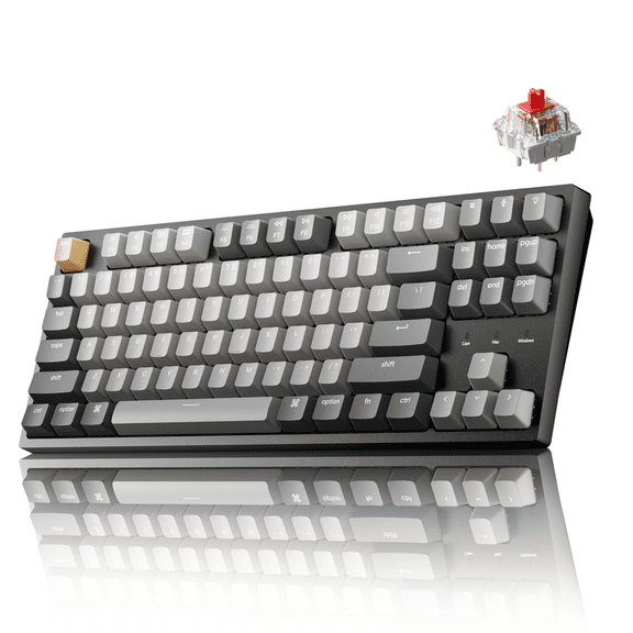 Keychron C1 Pro Wired Custom Mechanical Keyboard, TKL Layout QMK/VIA Programmable OEM Profile Double-Shot PBT Keycaps White LED Backlight with K Pro Red Switch for Mac Windows Linux