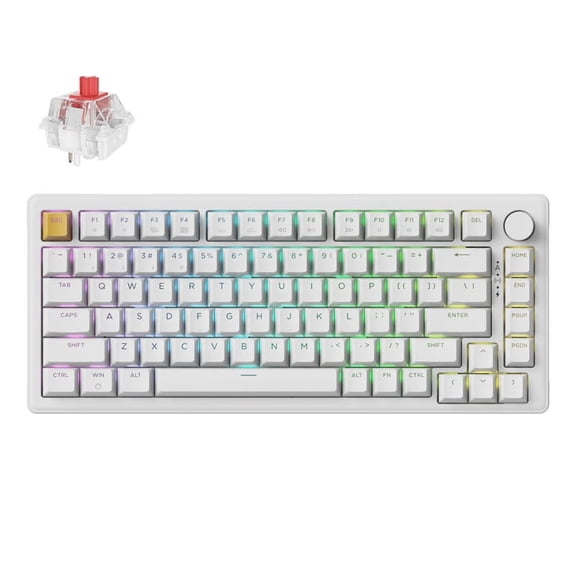 Keychron J2 Wireless Mechanical Keyboard, 2.4 GHz Bluetooth QMK 75% Layout RGB with Knob, Hot-swappable Red Switch Compatible with Mac Windows Linux for Gaming Office - White