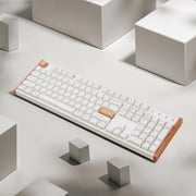 Keychron K10 HE 100% TKL Wireless RGB Hall Effect Magnetic Switch Keyboard, Rapid Trigger, QMK, 2.4G/BT