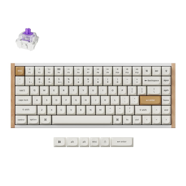 Keychron K2 HE US配列　交換用Dawn軸110個付 Keychron K2 HE Rapid Trigger Wireless Custom Mechanical Keyboard