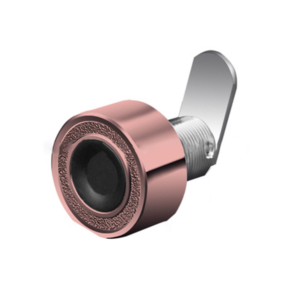 Keyless Mini Fingerprint Drawer Mailbox Lock File Lock