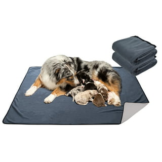 https://i5.walmartimages.com/seo/Keylever-Washable-Dog-Pee-Pads-2-Pack-72-x72-Extra-Large-Reusable-Dog-Training-Mat-for-Playpen-Crate-Floor-Bed-Sofa-Trunk_4fa0d8d7-3df8-4220-819a-f7d3a42568c1.86ea9e05287f48108691c35e678d234d.jpeg?odnHeight=320&odnWidth=320&odnBg=FFFFFF