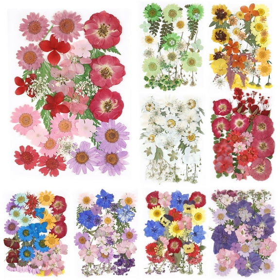 Keyohome 104/96/94Pcs Pressed Dried Flowers Set Real Natural Pressing Floral Leaves DIY Real Pressed Flowers for Indoor Outdoor Home,3 Sheets