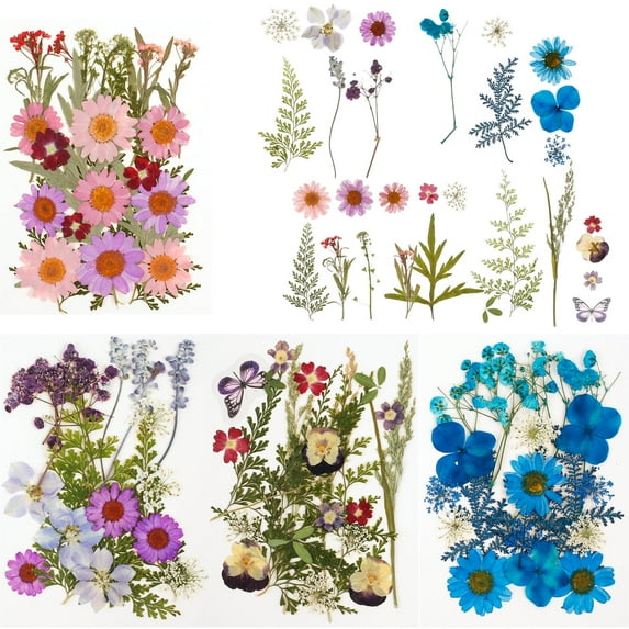 Keyohome Pressed Dried Flowers Set Real Natural Pressing Floral Leaves DIY Real Pressed Flowers for Indoor Outdoor Home,81Pcs,4 Pack