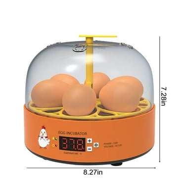 Kezqiaxn Home and Kitchen Gadgets Clearance Eggs Incubation for Hatching Chicks with Humidity Display-6 Eggs Incubators with Auto Turning-Humidity Temperature Control Incubators For Orange