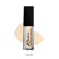 thumbnail image 1 of Khasana Full Coverage Makeup Liquid Concealer, Natural Finish Coverage, Lightweight, Conceals, Hydrating, Brightening, Under Eye Dark Circle Corrector, Oil Free #5 Yellow, 1 of 11