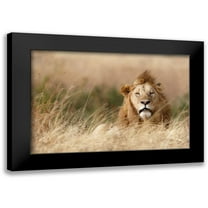 Khataw, Ali 14x11 Black Modern Framed Museum Art Print Titled - Handsome!