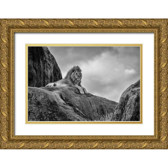 Khataw, Ali 18x13 Gold Ornate Wood Framed with Double Matting Museum Art Print Titled - The King!