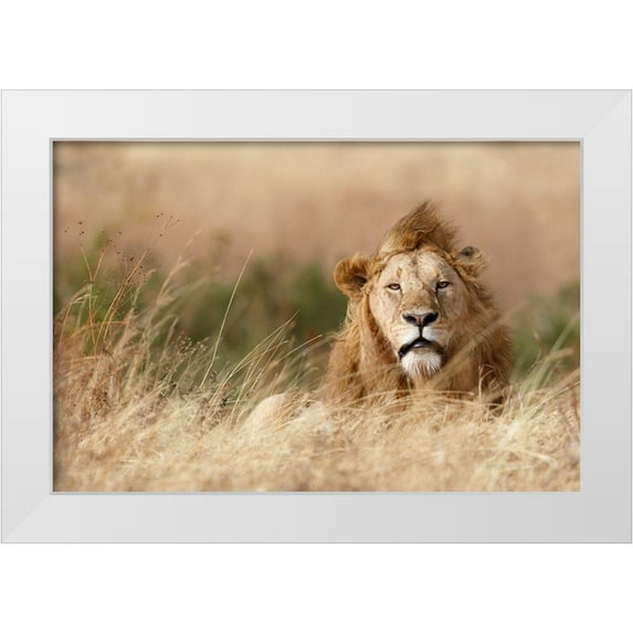 Khataw, Ali 18x13 White Modern Wood Framed Museum Art Print Titled - Handsome!