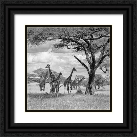 Khataw, Ali 20x20 Black Ornate Wood Framed with Double Matting Museum Art Print Titled - The Tower!