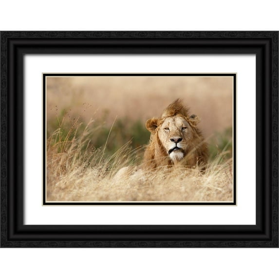 Khataw, Ali 24x17 Black Ornate Wood Framed with Double Matting Museum Art Print Titled - Handsome!