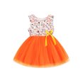 thumbnail image 1 of Kiapeise Toddler Kids Girl Easter Dress Sleeveless Rabbit Print Mesh Tulle Tutu Dress One Piece Striped Bow Bunny Dress, 1 of 9
