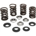thumbnail image 1 of Kibblewhite 20-20060 Complete Valve Spring Kit with Titanium Retainers, 1 of 1