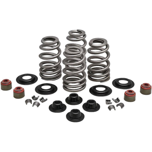 Kibblewhite 20-21550 Performance Rebuild Ovate Wire Beehive replacement valve Spring Kits - .660in.