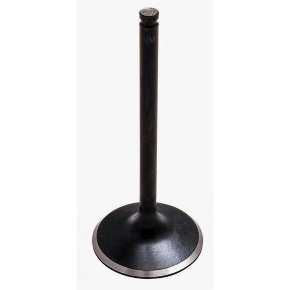 Kpmi 80-80912 Black Diamond Replacement Intake Valve