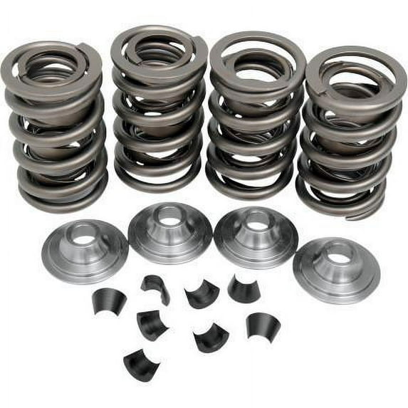 Kibblewhite Precision 20-20430 Complete replacement valve Spring Kit - .415in. Lift