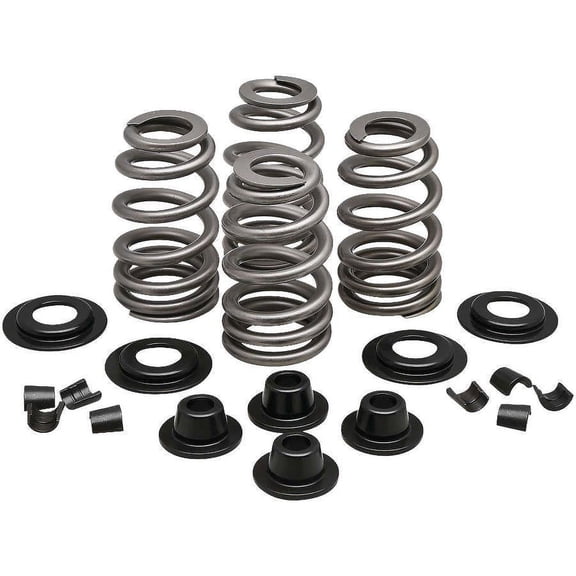 Kibblewhite Precision 20-21300 Performance Rebuild Ovate Wire Beehive replacement valve Spring Kits - .610in.
