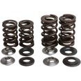 thumbnail image 1 of Kibblewhite Valve Spring Kit .460" Lift - 30-3111, 1 of 4