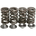 thumbnail image 1 of Kibblewhite 30-3111 Valve Spring Kit, 1 of 2