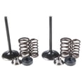 thumbnail image 1 of Kibblewhite Valve Spring Kit, 1 of 2