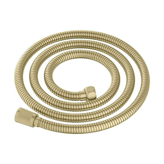 Kibi 59" Metal Shower Hose