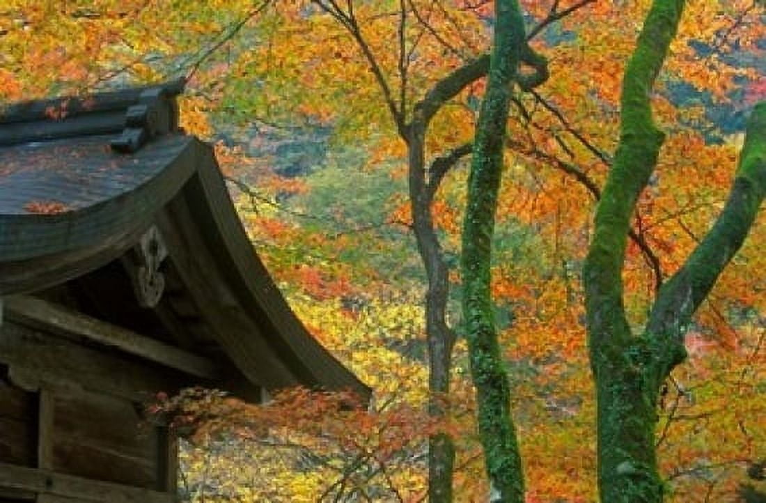 Kibune Shrine Kyoto Japan Canvas Art - Rob Tilley DanitaDelimont (36 x 24)