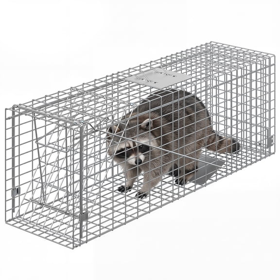 Kicctian 36" x 10" x 12" Live Animal Trap, Humane Animal Trap Cage, Steel Collapsible Design, with Carry Handle & Sensitive Trigger for Squirrels, Rabbits, Feral Cats, Raccoons, Silver