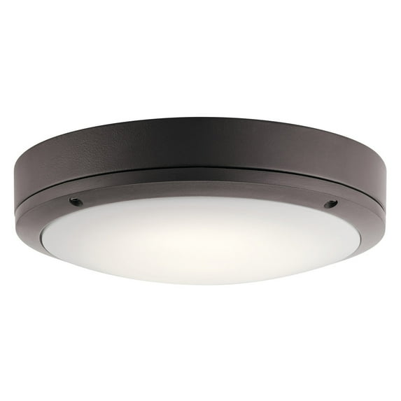 Kichler 11132 Outdoor Wall/Ceiling Light