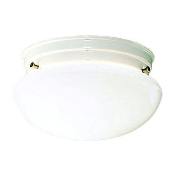 Kichler Ceiling Space Flush Mount 2Lt