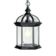 thumbnail image 1 of Barrie 1-Light LED Outdoor Pendant in Black, 1 of 3