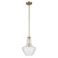 thumbnail image 1 of 42141NBRCS Kichler Lighting Everly - 1-Light Medium Pendant with Transitional Style 15.25 Inches Tall by 10.5 Inches Wide-Natural Brass Finish-Clear, 1 of 5
