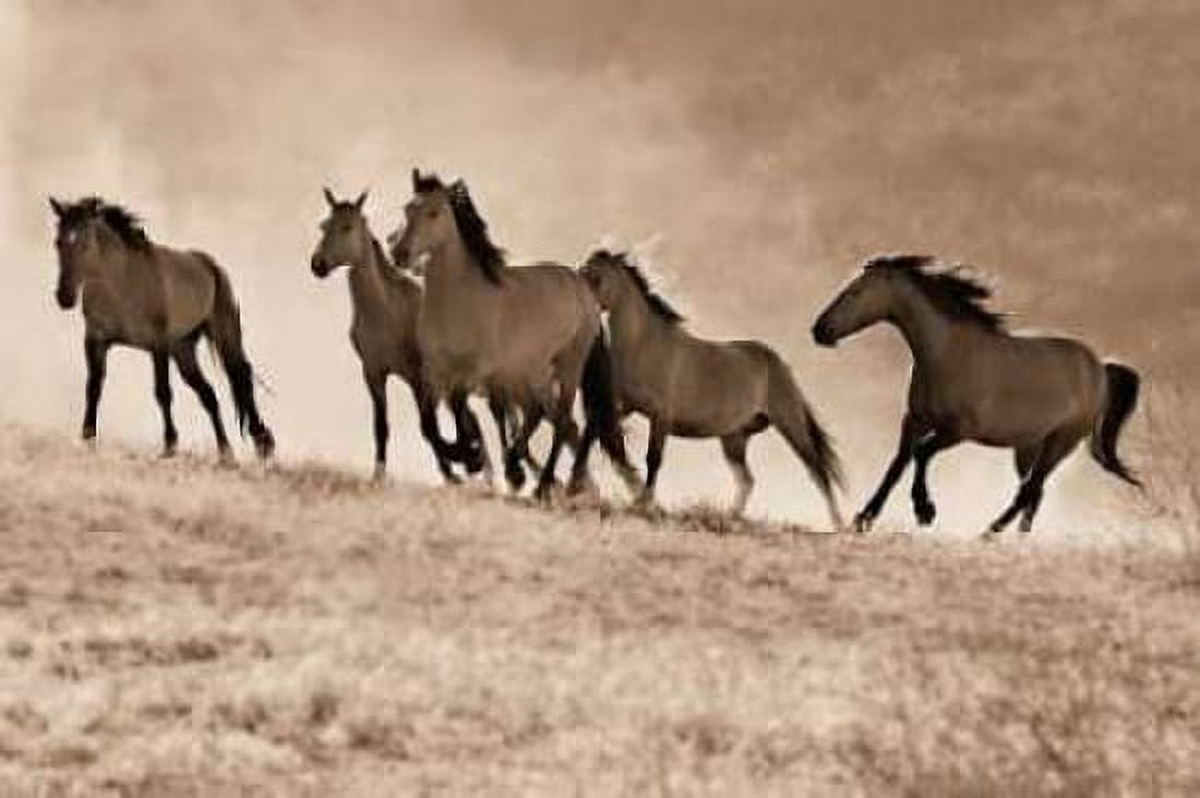 Kicking Dust Canvas Art - Lisa Dearing (24 x 36)