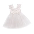 thumbnail image 1 of Kid Baby Girl Sleeveless Lace Kids Tulle Party Wedding Princess Dress, 1 of 6