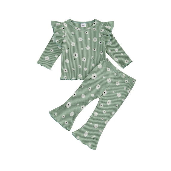 Kid Toddler Girls Pants Clothing Set, 12 18 24 Months 2T 3T 4T 5T Flower Print Long Sleeve Crew Neck T-shirt with Flare Pants Fall Outfit