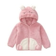thumbnail image 1 of Kid's Cute Plush Jackets Bear Ears Hooded Front Zip Color Block Fleece Thermal Comfy Outwear Spring Fall Trendy Outfits (1 Years, Pink), 1 of 9