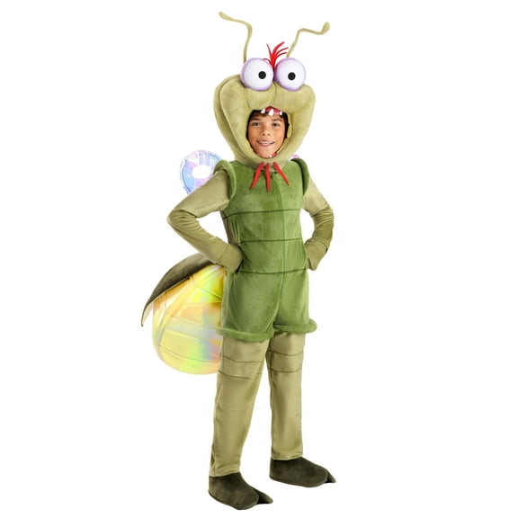 Kid's Deluxe Disney Princess and the Frog Ray Costume