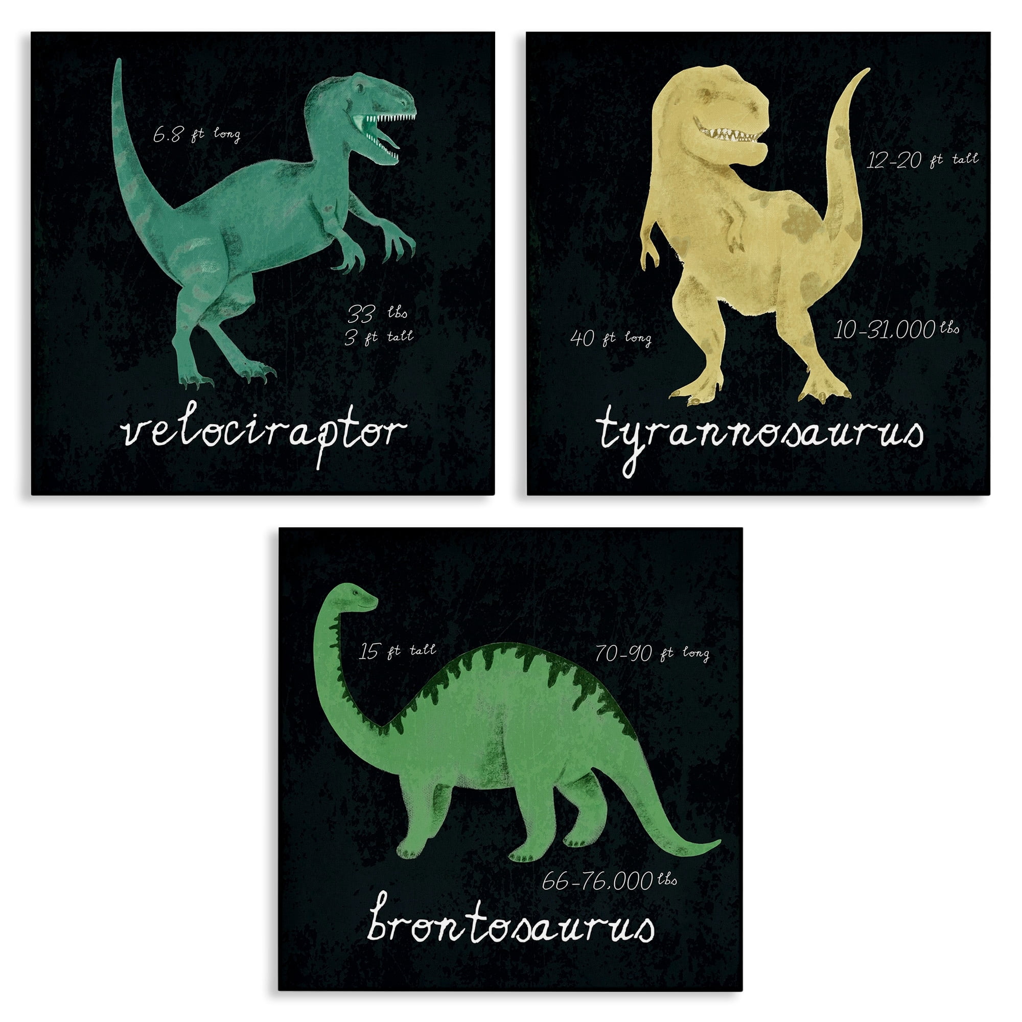 Kid's Dinosaur Size Facts Chalk Inspired Design Animals & Insects Gallery-Wrapped Canvas Print Wall Art, Set of 3, 17x17
